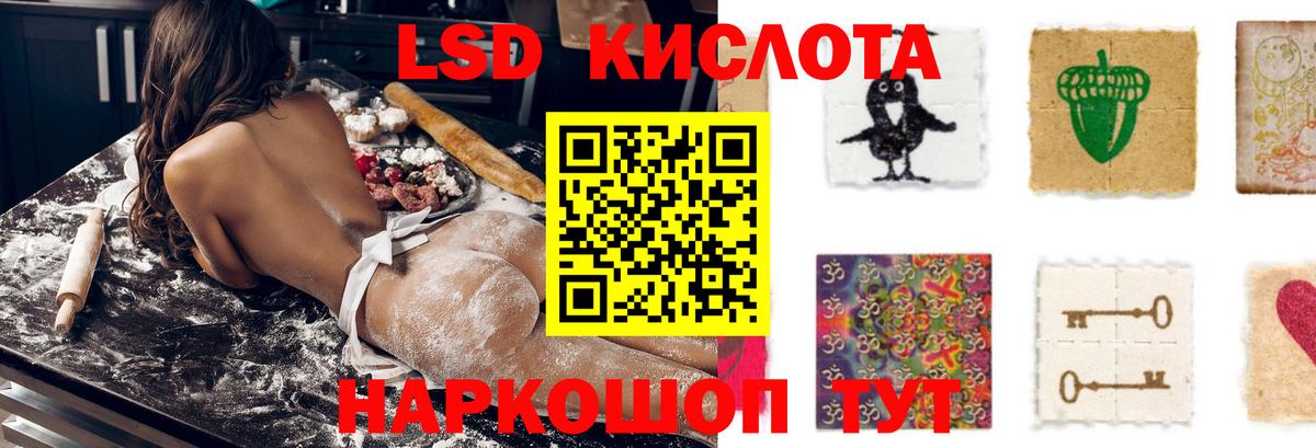 ЛСД экстази ecstasy  Вход с VPN  ЛСД экстази ecstasy  Камышлов 