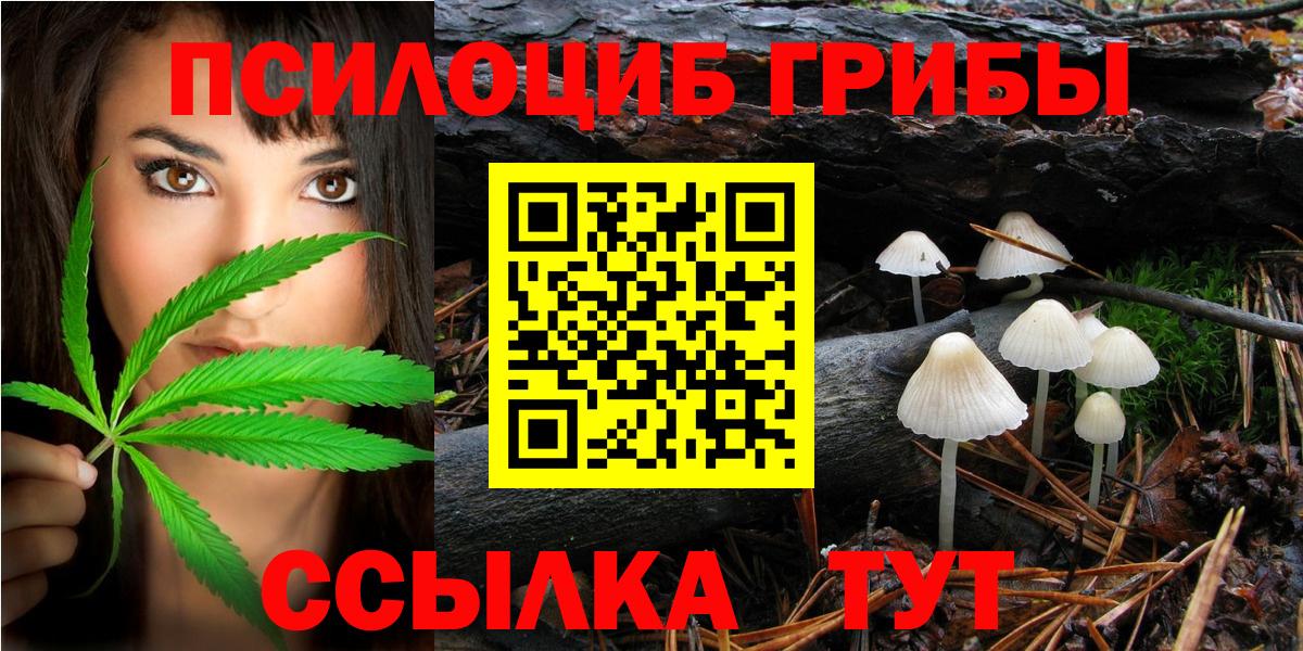 Камышлов  Галлюциногенные грибы прущие грибы  Вход с VPN 