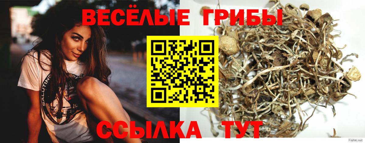 ГАШ  A-PVP СОЛЬ кристаллы  МЕФ   Каннабис  Вход с VPN  Камышлов  ГАШ  Кокаин  Меф 