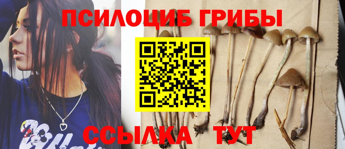 Галлюциногенные грибы мицелий Камышлов